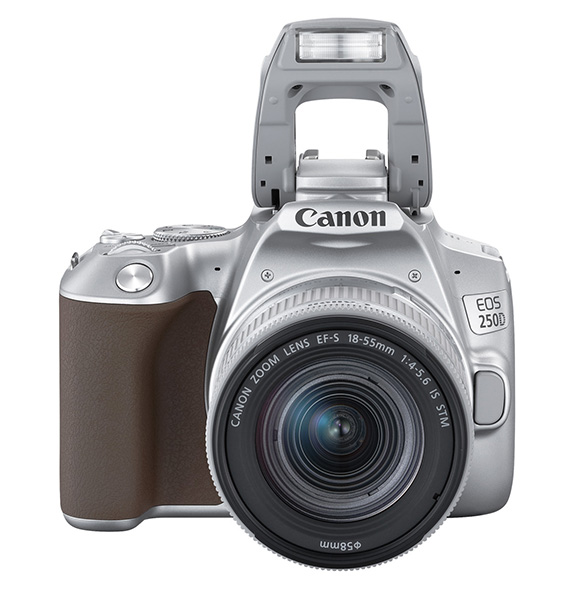 Canon EOS 250D, entry level con cuore tecnologico e LCD orientabile.