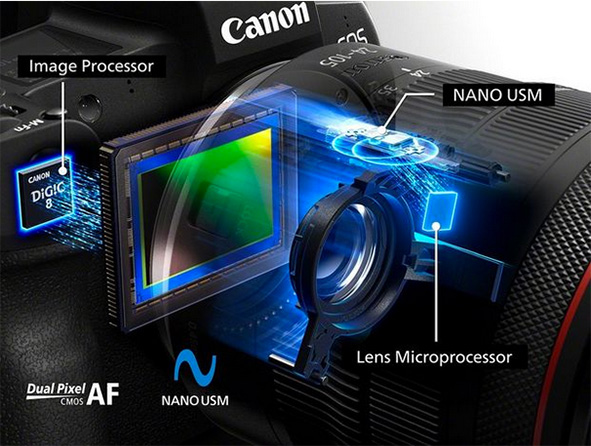 L'interno della Canon EOS R. In evidenza il motore Nano USM. Una struttura complessa per migliorrae ogni prestazione.