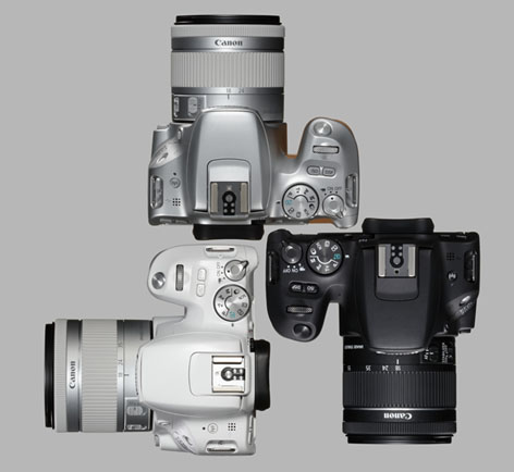 Canon EOS 200D, compattezza in tecnologia reflex Canon EOS 200D, reflex semplice ma tecnologia al top
