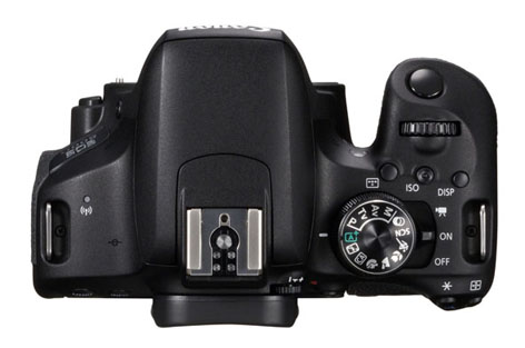 Canon EOS 800D user friendly