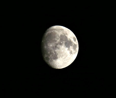 Superluna 14 novembre 2016 catturata con Lumix FX2000