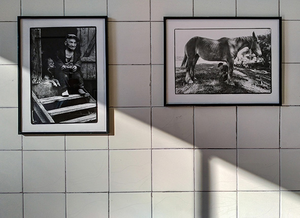 Romualdas Požerskis, fotografo Lituano a MIlano Romualdas Požerskis, in mostra per Photofestival a Milano fino al 14 maggio.