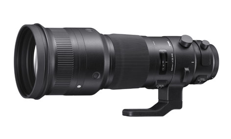 Sigma 500mm F4 DG HSM serie Sports, lungo tele d'eccellenza