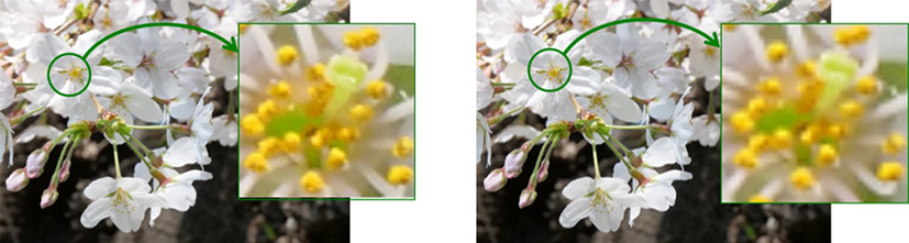 Sony e il nuovo EVF OLED per usi professionali Sony super EVF OLED ad elevata risoluzione e qualità