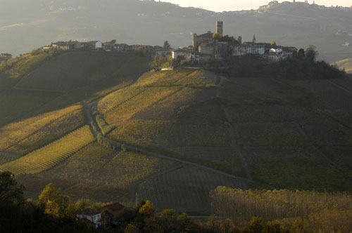 paesaggio langhe