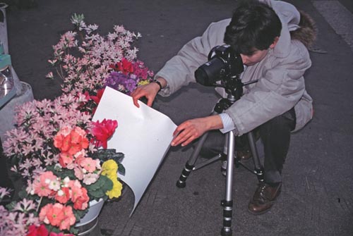 tecnica fotografia fiori