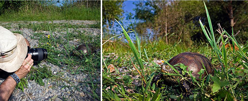 foto naturalistica