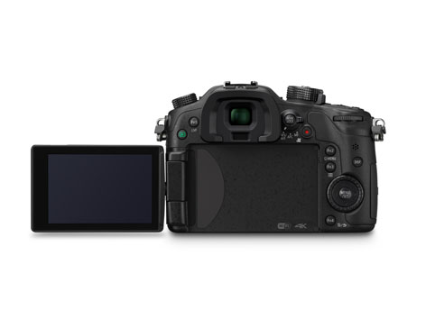 GH4 back LCD