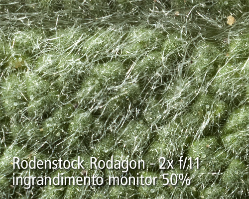 rodenstock